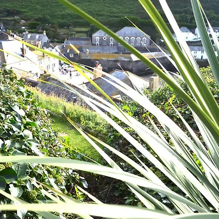 Gasthuis The Gallery Port Isaac