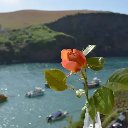 The Gallery Port Isaac